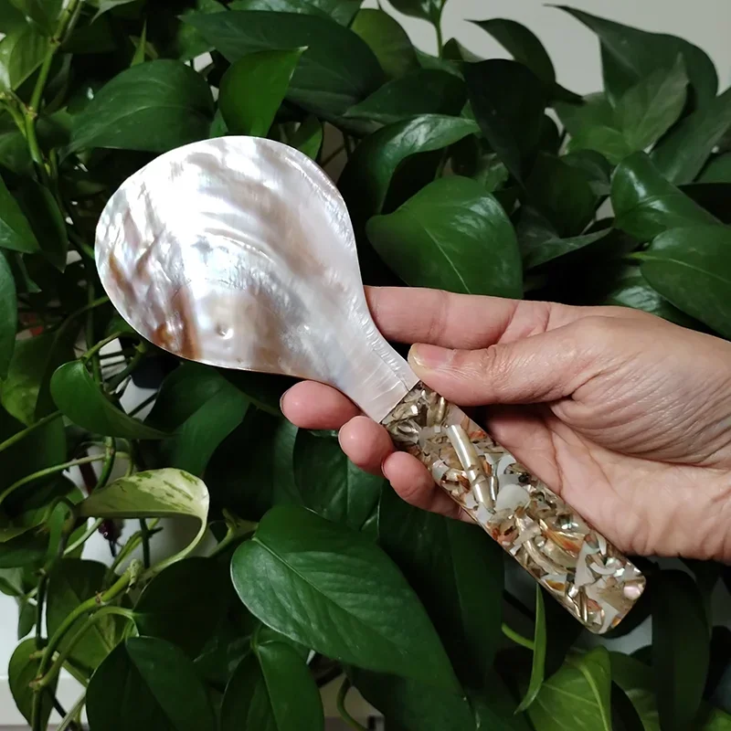 Doğal Sedef Pirinç Kaşığı 22cm - Home Cooking Meals incelemesi ve fiyatı